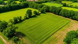 Власти напомнили губкинцам об особенностях предоставления земельных участков