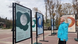 Выставка монет с изображениями редких животных открылась в Белгороде