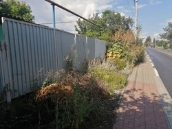 Власти напомнили губкинцам о важности поддержания порядка на прилегающих территориях