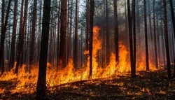 Противопожарный режим продолжил действовать на территории Белгородской области