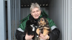 Приют для безнадзорных животных продолжил работать в Губкинском городском округе 
