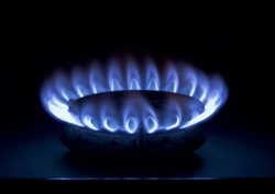 Жители Белгородской области смогут бесплатно провести газ к своему участку