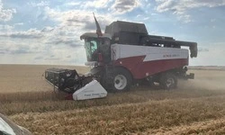 Губкинские аграрии приступили к уборочной кампании зерновых культур