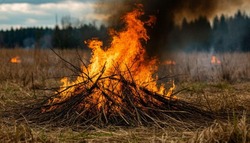 Губкинские спасатели рассказали о палах сухой травы