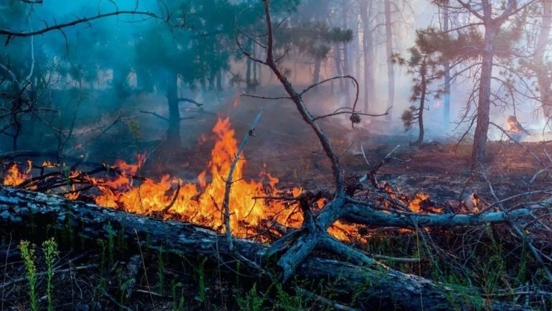 Пожароопасный сезон начал действовать на территории Белгородской области