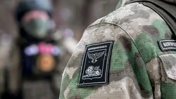 Вячеслав Гладков: в 2024 году в семьях бойцов СВО из Белгородской области родилось 360 детей