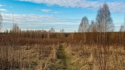 Губкинские власти напомнили о признаках заброшенных земельных участков