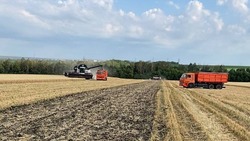 Итоги работы агропромышленного комплекса за первое полугодие 2025 года