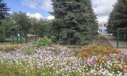 Учреждения образования Губкинского горокруга приняли участие в областном смотре- конкурсе 