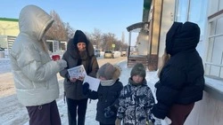 Троицкие культработники запустили акцию «Зимняя дорога: безопасность для всех!»