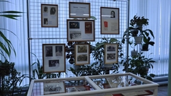 В Губкинском краеведческом музее открылась выставка