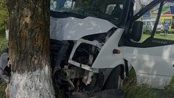 Пассажирский автобус врезался в дерево на трассе под Губкином