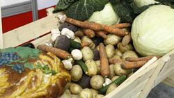 Белгородские власти сравнили стоимость овощей в соседних областях