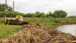 Работы по очистке водоёмов в рамках проекта «Наши реки» продолжатся в Белгородской области