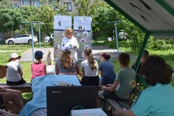 Сотрудники Губкинского краеведческого музея провели программу о природе для детей 