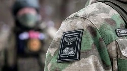 Вячеслав Гладков сообщил о выдаче новой летней формы членам региональной самообороны