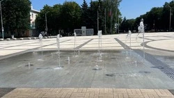 Проверка фонтанов прошла в Губкинском городском округе
