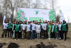 Губкинцы приняли участие в акции «Сад памяти» 