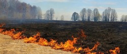 Управление Росреестра по Белгородской области предупредило об опасности пала травы осенью