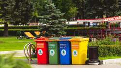 Белгородский центр экологической безопасности напомнил правила утилизации веток