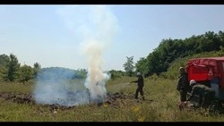 Противопожарные учения прошли в Губкинском городском округе