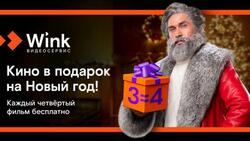 Wink продлит новогодние каникулы до лета для белгородцев*