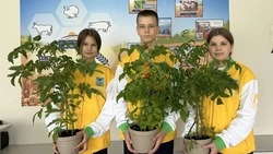 Ученики агрокласса Троицкой школы погрузились в увлекательный мир растениеводства