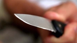 Жительница Губкинского округа нанесла ножевые ранения сожителю