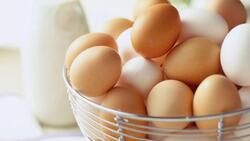 Губкинцы смогут купить яйца и мясо птицы по социальным ценам