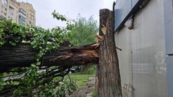 Вячеслав Гладков рассказал о восстановительных работах в Белгородской области после урагана