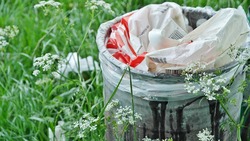 Жители Губкинского округа смогут принять участие в опросе на тему мусорной реформы