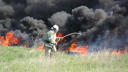 Белгородские власти сообщили о продлении противопожарного режима в сентябре