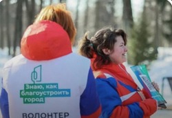 236 белгородцев зарегистрировались для помощи в голосовании за проекты благоустройства
