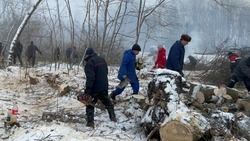 Субботник по заготовке дров для военнослужащих прошёл в селе Истобное губкинской территории 