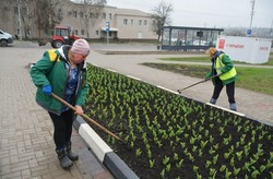 Более 42 000 тюльпанов были высажены на улицах Губкина