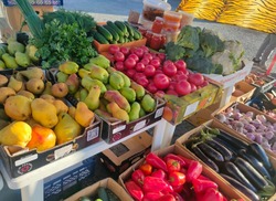 Губкинцы вновь смогут купить свежие и качественные продукты на муниципальных ярмарках