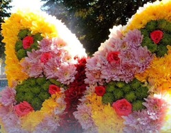 Губкинцы смогут принять участие в традиционной выставке цветов