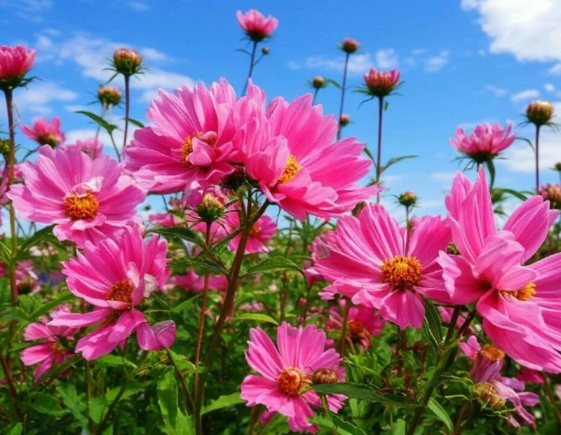 Андрей Скоч поздравил представительниц прекрасного пола с Международным женским днём