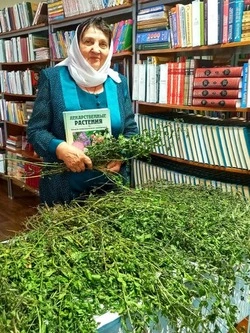 Библиотекарь Вислодубравской библиотеки организовала фитобар