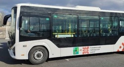 Губкинские власти подвели итоги опроса по вопросу уменьшения числа рейсов городских автобусов