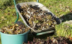 Власти напомнили губкинцам о правилах утилизации сезонных растительных отходов 