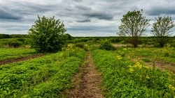 Белгородский Росреестр напоминает о признаках неиспользования земельных участков