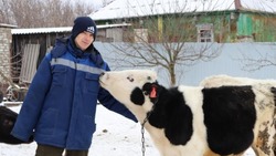 Житель села Гущино Максим Штоколов - о развитии своего хозяйства с помощью соцконтракта 