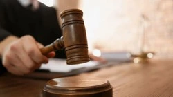 Житель Губкинского городского округа осуждён за долги по алиментам