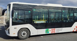 Губкинские власти подвели итоги опроса по вопросу уменьшения числа рейсов городских автобусов