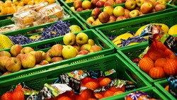 Роспотребнадзор откроет «горячую линию» по качеству фруктов и овощей в Губкине