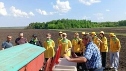 Никаноровские школьники совершили увлекательную экскурсию на поле ОАО СП «Губкинагрохолдинг»