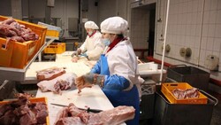 Губкинский мясокомбинат получит 200 млн рублей на развитие производства