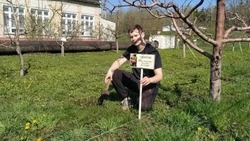«Сад памяти»: ученики и учителя Чуевской школы почтили память героев