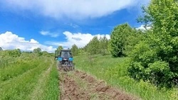 Ограничения на пребывание граждан в лесах вводятся в Белгородской области